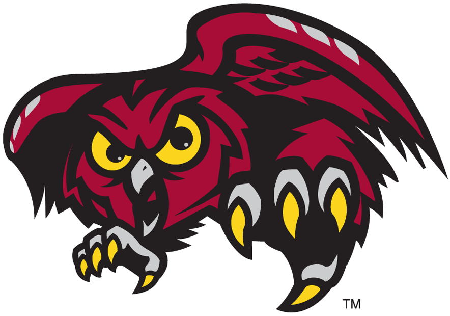 Temple Owls 1996-Pres Alternate Logo v3 diy iron on heat transfer